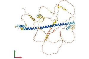 AlphaFold protein structure predicition of Mouse Recombinant Creb3l2 Protein, UniprotID Q8BH52