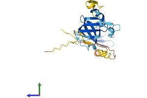 AlphaFold protein structure predicition of Human Recombinant ARPIN Protein, UniprotID Q7Z6K5