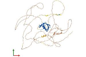 AlphaFold protein structure predicition of Mouse Recombinant Elf4 Protein, UniprotID Q9Z2U4