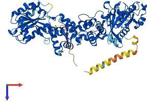 AlphaFold protein structure predicition of Mouse Recombinant Rhot1 Protein, UniprotID Q8BG51