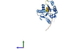 AlphaFold protein structure predicition of Human Recombinant NMRK2 Protein, UniprotID Q9NPI5