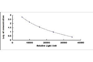ELISA image for Thyroxine T4 (T4) CLIA Kit (ABIN4948075)