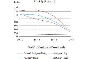 Black line: Control Antigen (100 ng),Purple line: Antigen (10 ng), Blue line: Antigen (50 ng), Red line:Antigen (100 ng) (TBP anticorps  (AA 1-144))
