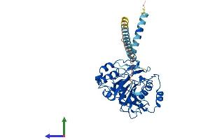 AlphaFold protein structure predicition of Human Recombinant B4GALT5 Protein, UniprotID O43286