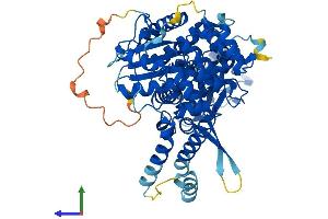 AlphaFold protein structure predicition of Mouse Recombinant Stxbp1 Protein, UniprotID O08599