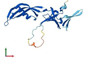 AlphaFold protein structure predicition of Mouse Recombinant Polr3h Protein, UniprotID Q9D2C6