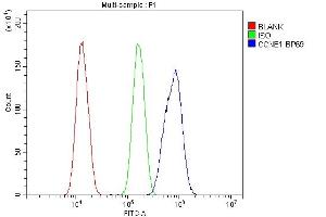 Flow Cytometry analysis of SiHa cells using anti-CCNE1 antibody (ABIN7601193). (Cyclin E1 anticorps  (AA 3-386))
