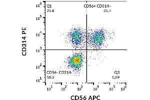 Surface staining of human peripheral blood with anti-human CD314 (1D11) PE.
