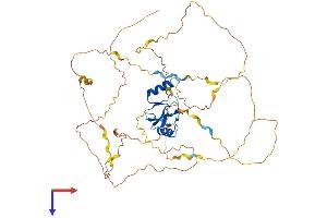 AlphaFold protein structure predicition of Human Recombinant CBLL1 Protein, UniprotID Q75N03