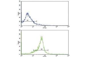 Flow cytometric analysis of WiDr cells using WNT5B antibody (bottom histogram) compared to a negative control (top histogram).