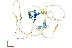 AlphaFold protein structure predicition of Mouse Recombinant Rax Protein, UniprotID O35602