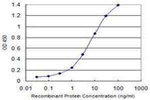 Detection limit for recombinant GST tagged TRIM55 is 0. (TRIM55 anticorps  (AA 1-452))