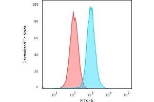 Flow Cytometric Analysis of K562 cells using RAD51 Mouse Monoclonal Antibody (RAD51/2701) followed by Goat anti-Mouse IgG-CF488 (Blue); Isotype Control (Red).