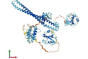 AlphaFold protein structure predicition of Mouse Recombinant Pik3r2 Protein, UniprotID O08908
