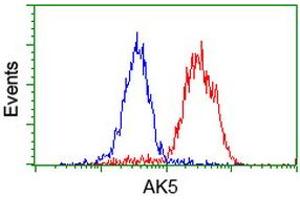 Flow cytometric Analysis of Hela cells, using anti-AK5 antibody (ABIN2453862), (Red), compared to a nonspecific negative control antibody, (Blue). (Adenylate Kinase 5 anticorps)