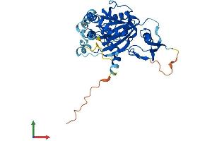 AlphaFold protein structure predicition of Mouse Recombinant As3mt Protein, UniprotID Q91WU5