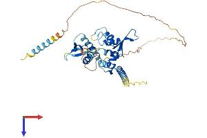 AlphaFold protein structure predicition of Human Recombinant MAGEB1 Protein, UniprotID P43366