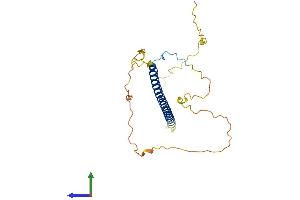 AlphaFold protein structure predicition of Mouse Recombinant Tfpt Protein, UniprotID Q3U1J1