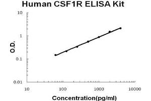 Human CSF1R/M-CSFR PicoKine ELISA Kit standard curve (CSF1R Kit ELISA)