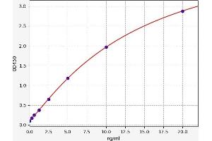 Typical standard curve (c-MYC Kit ELISA)