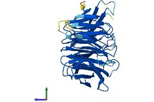 AlphaFold protein structure predicition of Mouse Recombinant Nup37 Protein, UniprotID Q9CWU9