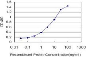 Detection limit for recombinant GST tagged CUL7 is approximately 0.
