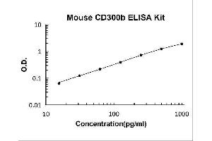Typical Standard Curve