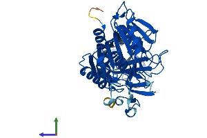 AlphaFold protein structure predicition of Mouse Recombinant Acnat2 Protein, UniprotID Q8BGG9