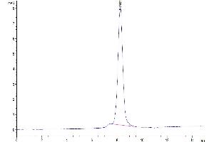The purity of Human CD160 is greater than 95 % as determined by SEC-HPLC.