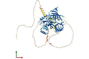 AlphaFold protein structure predicition of Mouse Recombinant Gspt1 Protein, UniprotID Q8R050