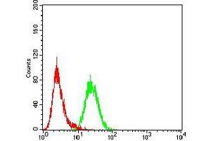 Flow cytometric analysis of Hela cells using Rab5a mouse mAb (green) and negative control (red).