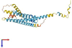 AlphaFold protein structure predicition of Mouse Recombinant Laptm5 Protein, UniprotID Q61168