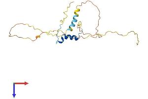 AlphaFold protein structure predicition of Human Recombinant CITED1 Protein, UniprotID Q99966