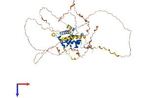AlphaFold protein structure predicition of Human Recombinant TRAF3IP2 Protein, UniprotID O43734
