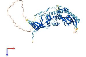 AlphaFold protein structure predicition of Mouse Recombinant Prkar2b Protein, UniprotID P31324