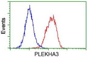 Image no. 3 for anti-Pleckstrin Homology Domain Containing Family A3 (PLEKHA3) antibody (ABIN1500273) (PLEKHA3 anticorps)