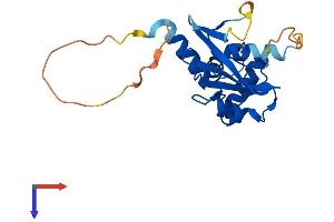 AlphaFold protein structure predicition of Human Recombinant SOCS2 Protein, UniprotID O14508
