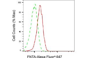 anti-Farnesyltransferase, CAAX Box, alpha (FNTA) antibody