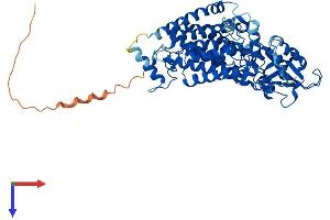 AlphaFold protein structure predicition of Human Recombinant LMF1 Protein, UniprotID Q96S06