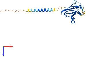 AlphaFold protein structure predicition of Human Recombinant CD70 Protein, UniprotID P32970