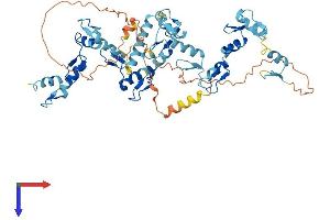 AlphaFold protein structure predicition of Human Recombinant ZNF480 Protein, UniprotID Q8WV37