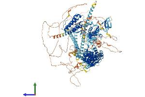 AlphaFold protein structure predicition of Human Recombinant BAZ1B Protein, UniprotID Q9UIG0