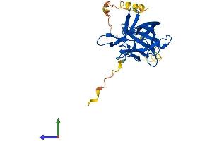 AlphaFold protein structure predicition of Human Recombinant FGF11 Protein, UniprotID Q92914