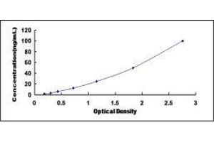 ELISA image for Plasminogen Activator Inhibitor 2 (SERPINB2) ELISA Kit (ABIN431568)