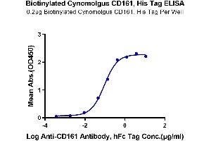 Immobilized Biotinylated Cynomolgus CD161, His Tag at 2 μg/mL (100 μL/Well) on the plate.