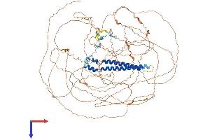 AlphaFold protein structure predicition of Mouse Recombinant Sap130 Protein, UniprotID Q8BIH0