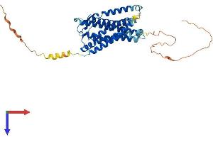 AlphaFold protein structure predicition of Mouse Recombinant Gpr182 Protein, UniprotID P43142
