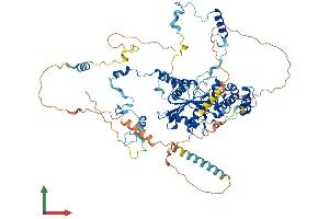 AlphaFold protein structure predicition of Mouse Recombinant Gnl2 Protein, UniprotID Q99LH1