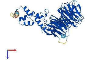 AlphaFold protein structure predicition of Human Recombinant FBXW4 Protein, UniprotID P57775