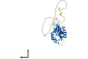 AlphaFold protein structure predicition of Mouse Recombinant Sigirr Protein, UniprotID Q9JLZ8